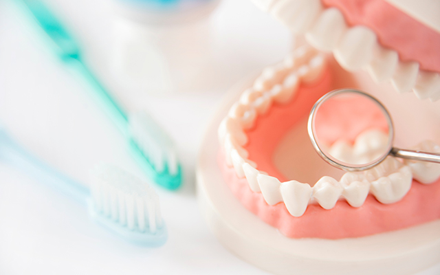 歯周病の原因になる歯垢と歯石